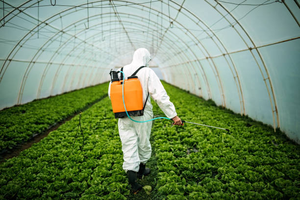 Best Ant Control Services  in Sidney, MT