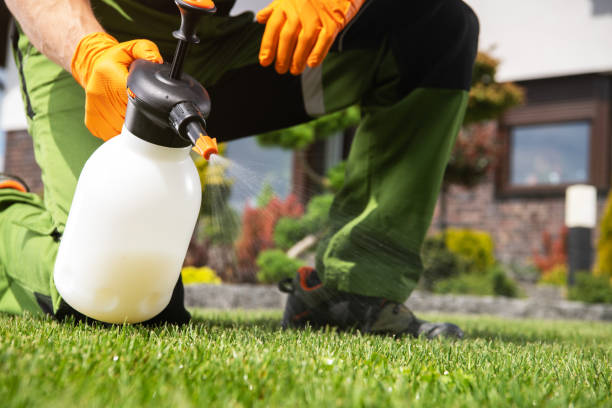 Best Pest Removal Services  in Sidney, MT