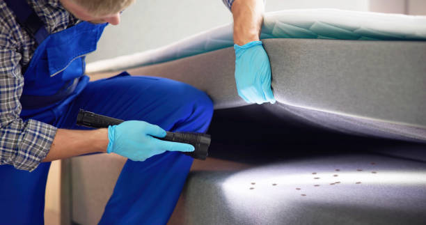 Best Wasp Removal Services  in Sidney, MT