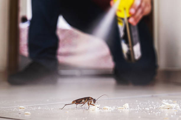 Best Local Pest Control Services  in Sidney, MT