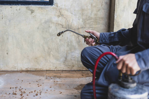 Best Pest Prevention Services  in Sidney, MT
